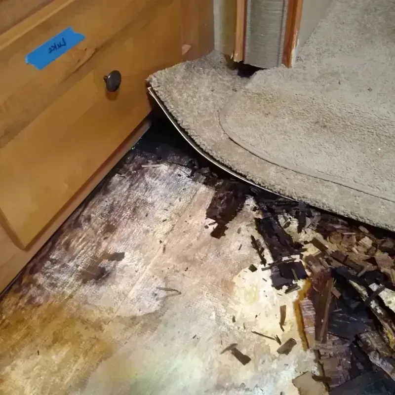 Best Wood Floor Water Damage Service in Webster County, NE